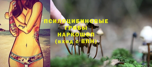 стафф Горнозаводск