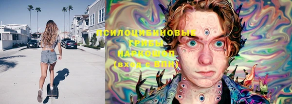 альфа пвп Гусев