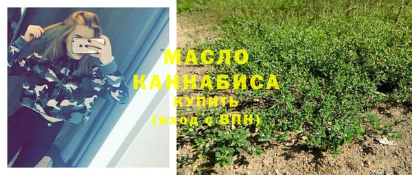 дмт Гусиноозёрск
