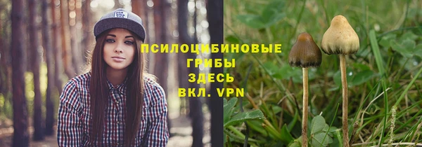 винт Горняк